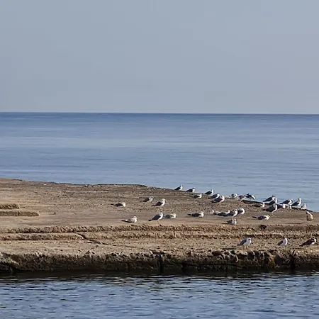 In Riva Al Mare Da Franca *