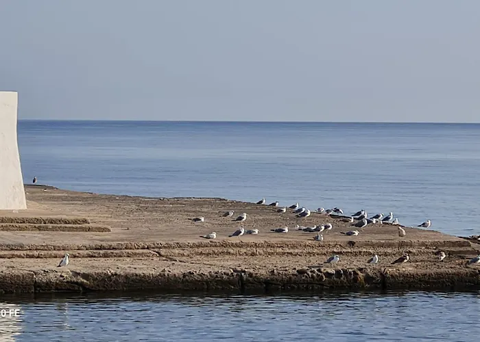 In Riva Al Mare Da Franca *